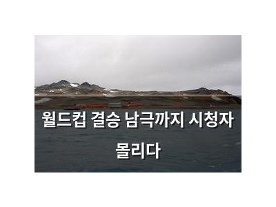 월드컵 결승 남극까지 시청자 몰리다