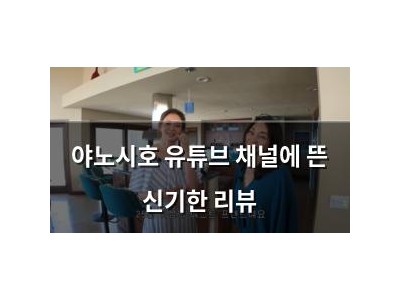 야노시호 유튜브 채널에 뜬 신기한 리뷰